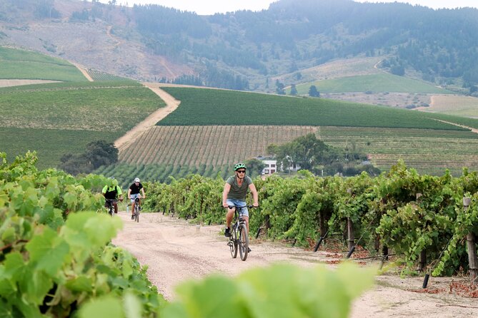 Stellenbosch Winelands Luxury EBike Tour © - Small group, guide quality, and the pace of the day