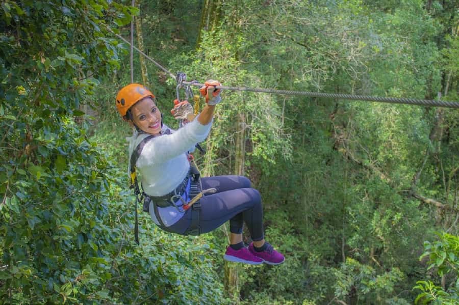 Storms River: Tsitsikamma National Park Zipline Canopy Tour - Platform by platform through the forest