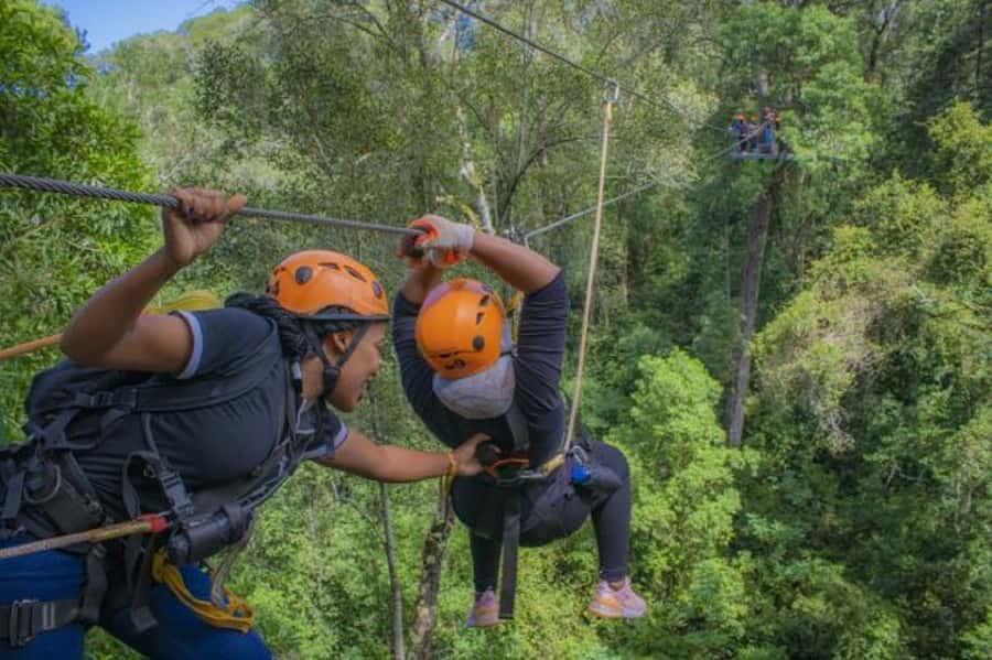 Storms River: Tsitsikamma National Park Zipline Canopy Tour - Why nervous beginners often enjoy it