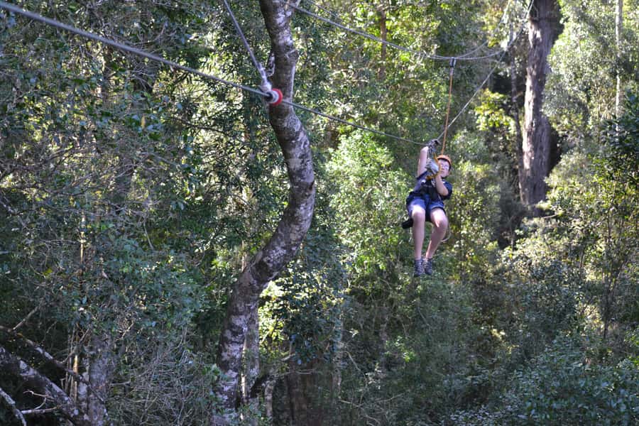 Storms River: Tsitsikamma National Park Zipline Canopy Tour - The 600-meter walk after the cables