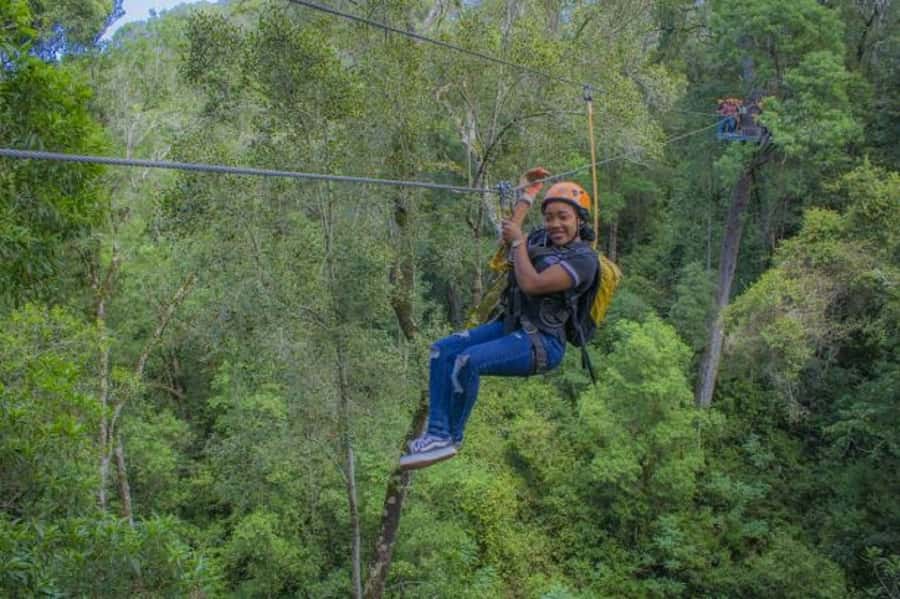 Storms River: Tsitsikamma National Park Zipline Canopy Tour - Is $55 good value?