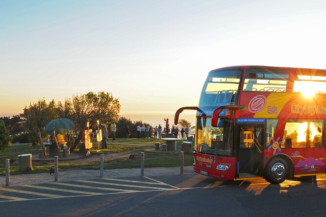 Summer Sunset Bus Tour in Cape Town - Why this sunset tour works in Cape Town