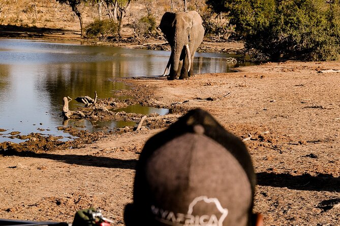 Sunrise Game Drive in Big5 Reserve - Blue Canyon Private Game Reserve and the appeal of limited access