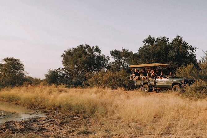 Sunrise Game Drive in Big5 Reserve - Wildlife, birding, and the value of looking closely