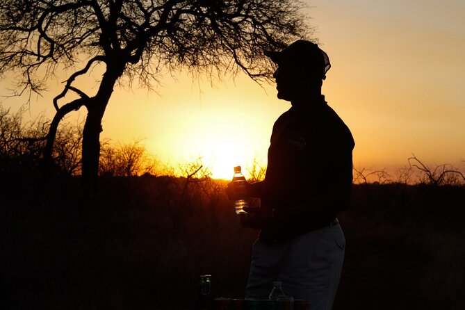 Sunrise Game Drive in Big5 Reserve - What the small group changes