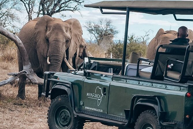 Sunrise Game Drive in Big5 Reserve - Practical tips for a smoother morning