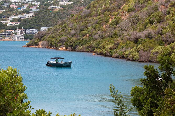 Sunset Boat Cruise on Bella Vita Champagne Lounger - Is this Knysna boat cruise worth booking?