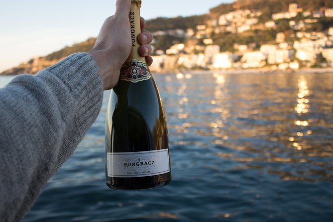 Sunset & Champagne Cruise for 2 pax on TIGGER 2 ( Guaranteed departure ) - Who will enjoy Tigger 2 most