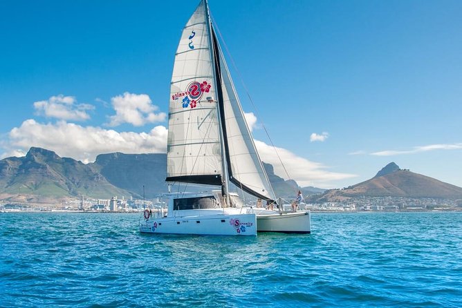 Sunset Champagne Cruise from Cape Town - Raising a glass as the sun drops