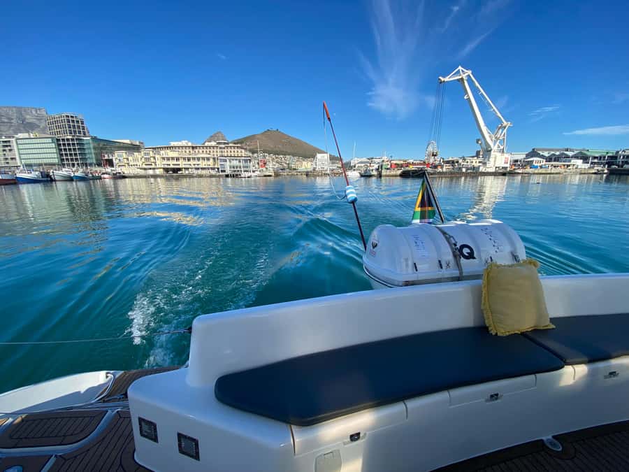 Sunset Cruise with Cape Town Cruises - Wildlife watching along the route