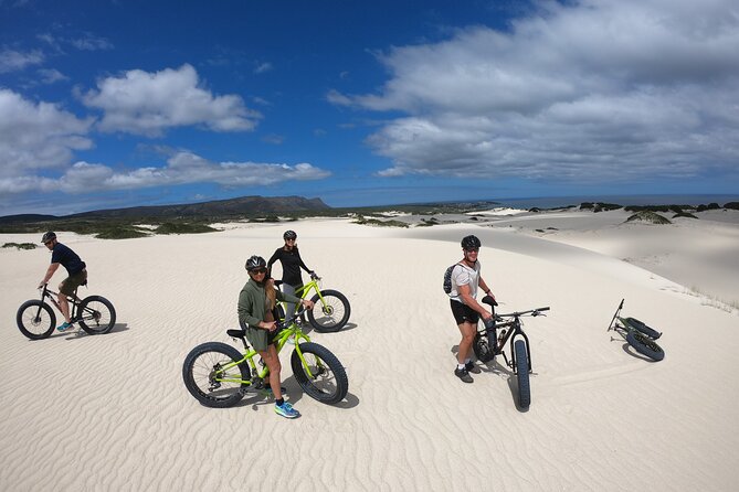 Sunset Fatbike Dune Experience - Who should book this ride