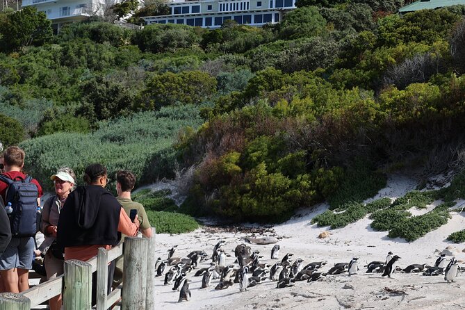 Supersaver: Cape of Good Hope and Cape Point Day Tour from Cape Town - Guides, vehicles, and group size