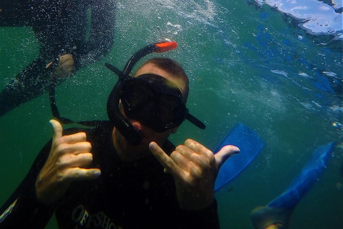 Swim with Seals - The guides and the small-group feel