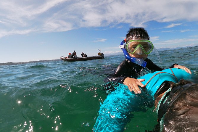 Swim with Seals - Is $51.47 a fair price?