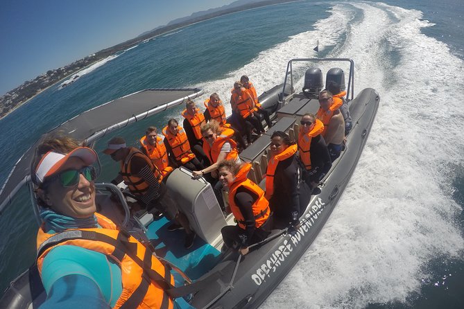 Swim with Seals - Snorkeling beside the seal colony