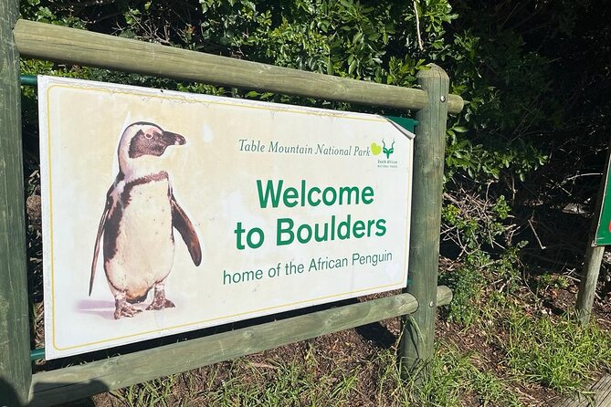 Table Mountain and Penguins Half Day Shared Group Tour - Starting in Cape Town at 7:00 am