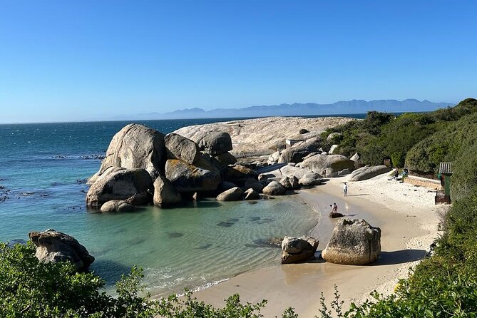 Table Mountain and Penguins Half Day Shared Group Tour - Meeting the penguins at Boulders Beach