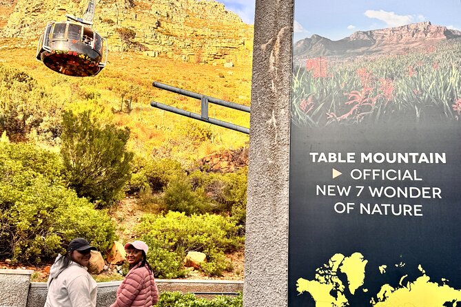 Table Mountain and Penguins Private Half Day Tour - A five-hour sampler of Cape Town’s best-known sights