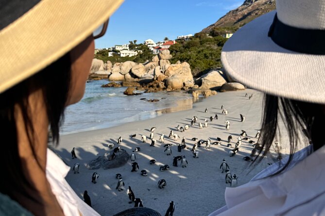 Table Mountain and Penguins Private Half Day Tour - Table Mountain: the day’s biggest ticket and biggest variable