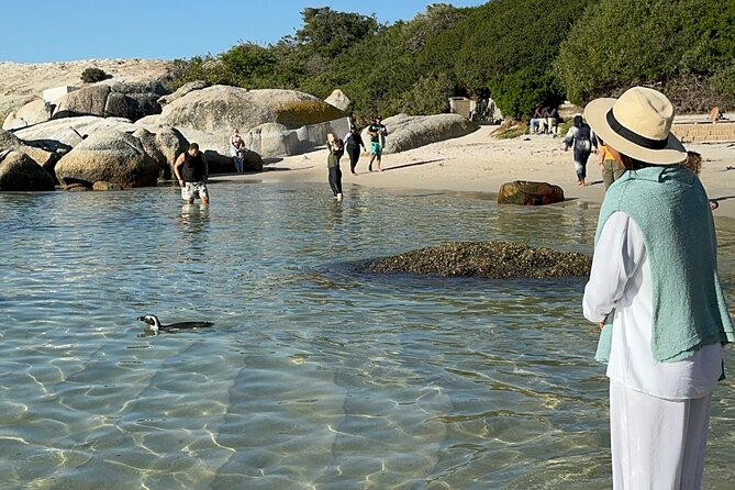 Table Mountain and Penguins Private Half Day Tour - Maiden’s Cove and the Twelve Apostles