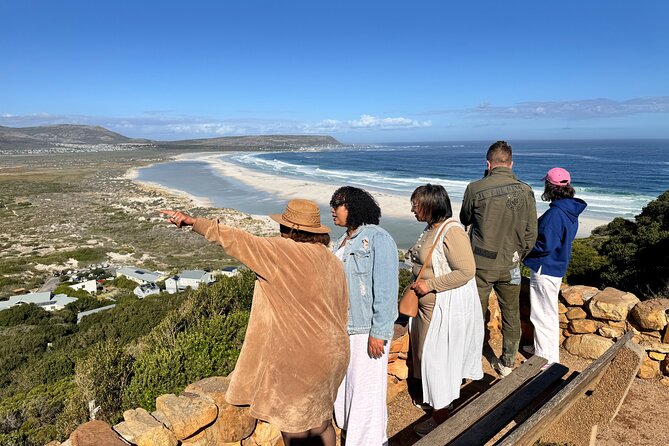 Table Mountain and Penguins Private Half Day Tour - Muizenberg Beach and its bright bathing huts