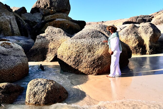 Table Mountain and Penguins Private Half Day Tour - What the $92.50 price really covers