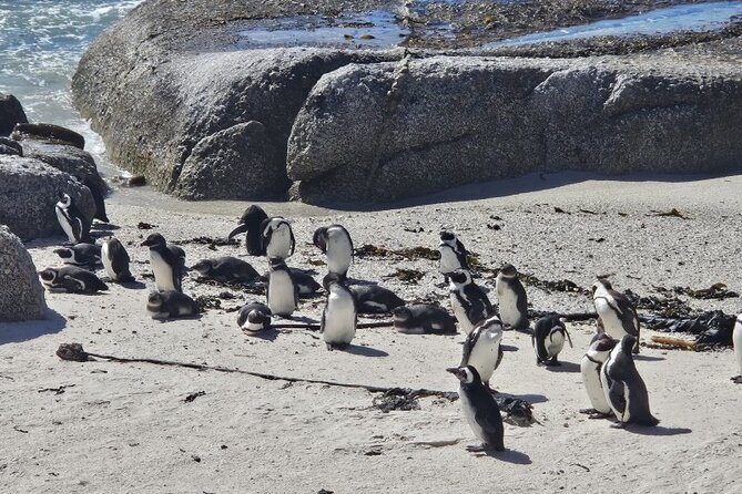 Table Mountain Boulder's Beach and Cape Point - Cape Point combines scenery with Cape history