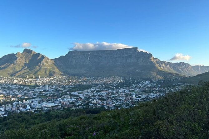 Table Mountain Boulder's Beach and Cape Point - Boulders Beach gives you a close look at African penguins