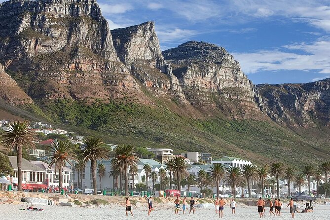 Table Mountain Boulder's Beach and Cape Point - The wine stop adds a different flavor