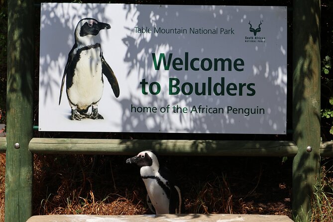 Table Mountain Boulder's Beach and Cape Point Tour - Boulders Beach and the African Penguin Colony