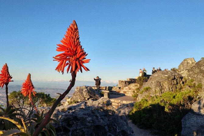 Table Mountain Boulder's Beach and Cape Point Tour - The Old Lighthouse and Cape Point Nature Reserve