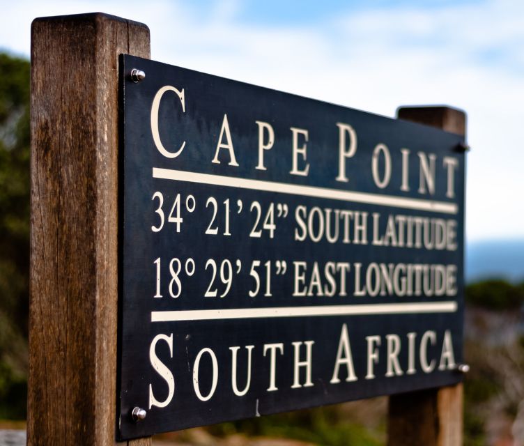 Table Mountain, Boulder's Penguins & Cape Point Private Tour - Boulders Beach delivers the wildlife moment