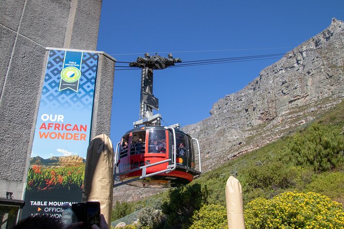 Table Mountain, Boulder's Penguins & Cape Point Private Tour from Cape Town - Why this private Cape Town day works