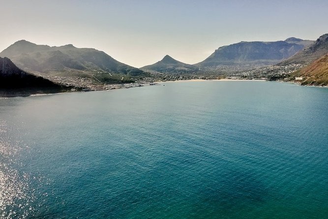Table Mountain, Boulders Penguins & Cape point Private Day Tour - Chapman’s Peak, one of the day’s best drives