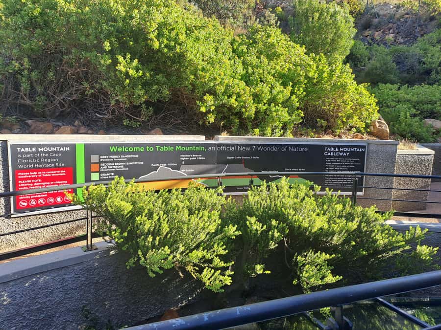 Table Mountain Cable Car Ticket with Transfer - Who should book this Table Mountain experience?