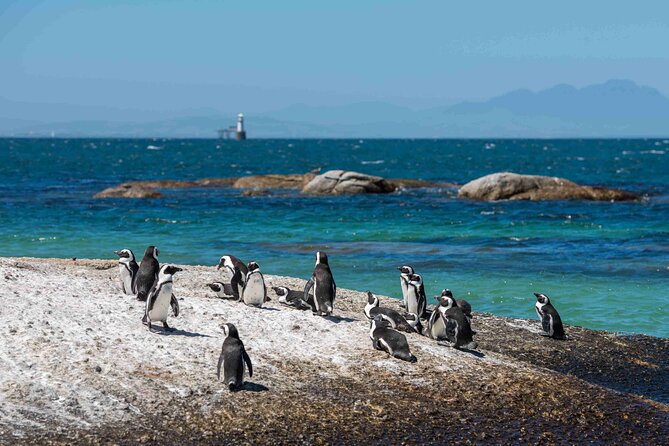 Table Mountain, Cape of good hope Full Day Shared Group Tour - Reaching Table Mountain by cable car