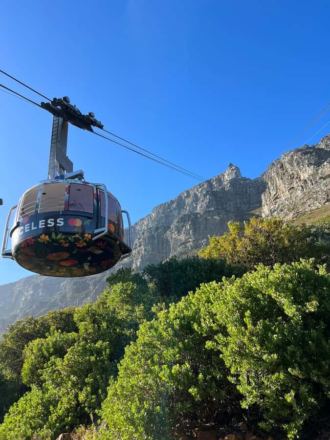 Table Mountain, Cape Of Good Hope, Penguins, Full Day Tour - Guide quality and the feel of the day