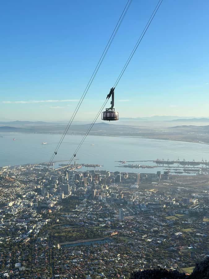 Table Mountain, Cape Of Good Hope, Penguins, Full Day Tour - Cape Point: wildlife, walking, and two ocean currents