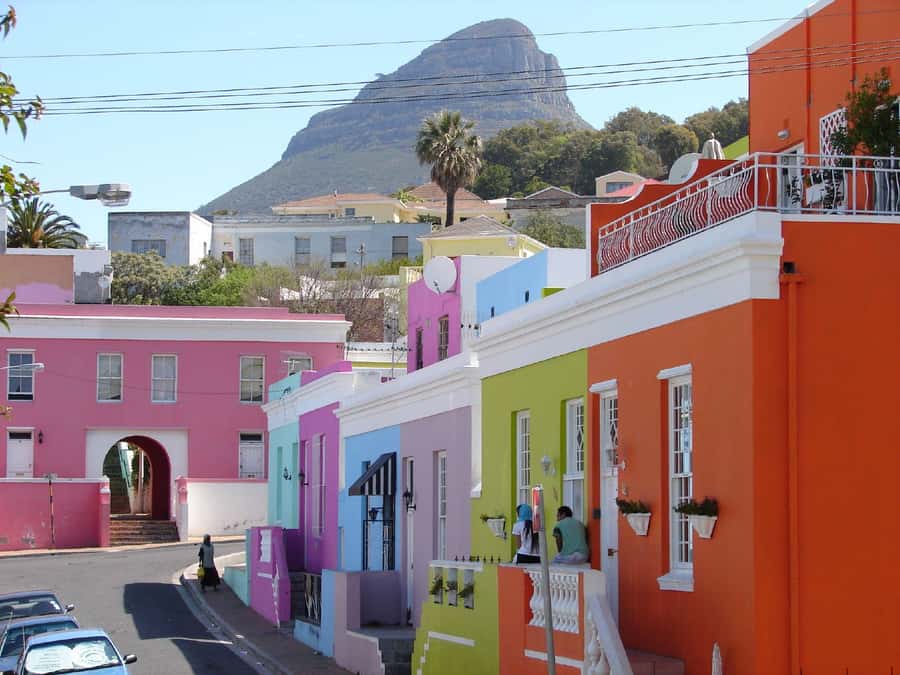 Table Mountain, Cape of Good Hope & Penguins Shared Tour - Starting above the city on Table Mountain