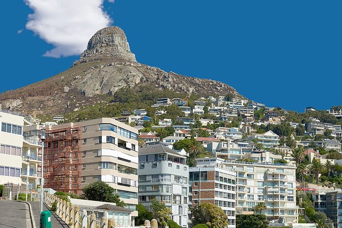 Table Mountain, Cape Point & Penguin Beach ENTRANCE INCLUDED - Why the private format can be worth the price