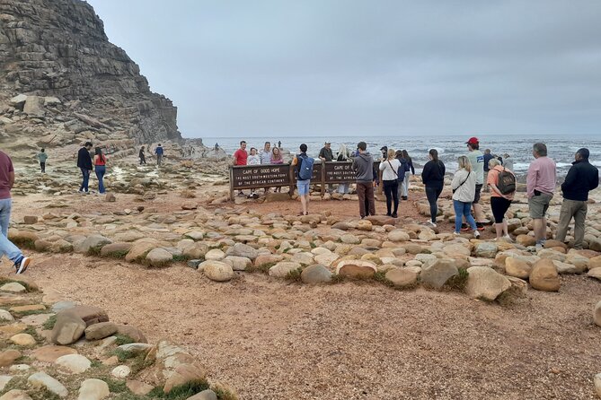 Table Mountain Cape Point Penguin Groot Constantia Private Tour - One private day from Table Mountain to Cape Point