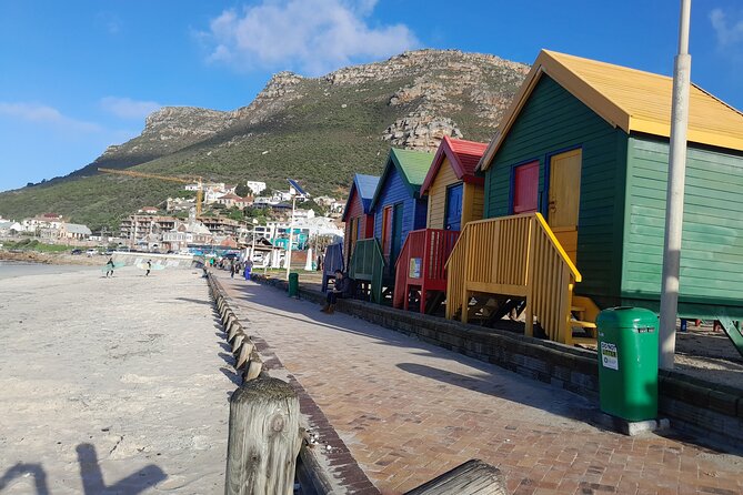 Table Mountain Cape Point Penguin Groot Constantia Private Tour - Boulders Beach and the African penguin colony
