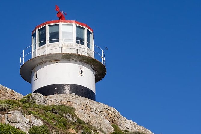 Table Mountain Cape Point Penguin Groot Constantia Private Tour - Cape of Good Hope and the reserve entrance