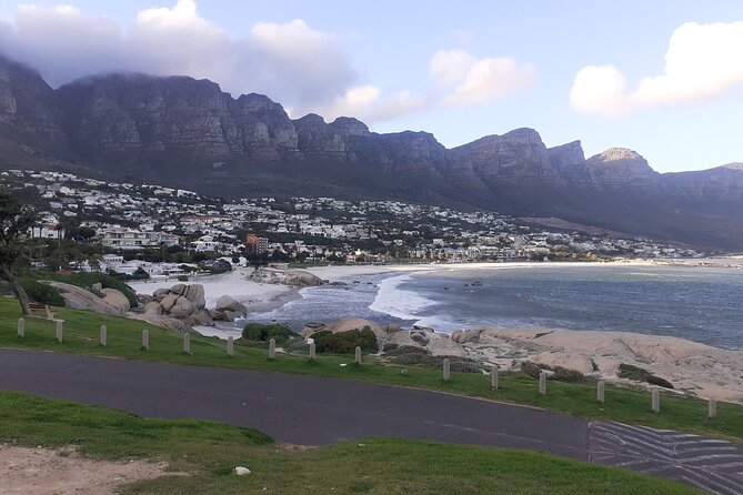Table Mountain, Cape Point & Penguins Private ,From Cape Town - Cape Point brings open space and a little walking