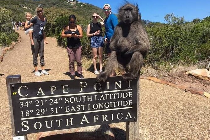 Table Mountain, Cape Point & Penguins Private ,From Cape Town - The Cape of Good Hope sign is a quick photo stop