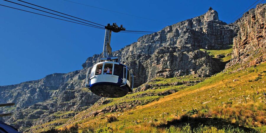 Table Mountain & Cape Town City Half Day Guided Tour - Timing, Pickup and Walking Demands