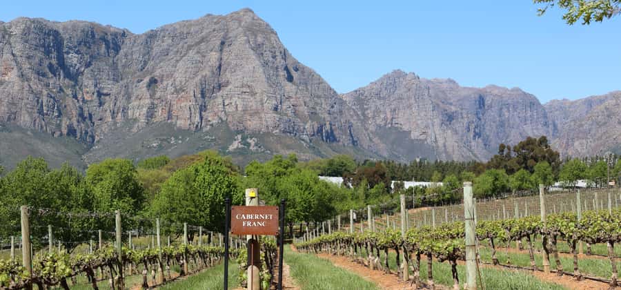 Table Mountain & Constantia Wine Estate Private Combo Tour - Maidens Cove and the drive toward Constantia