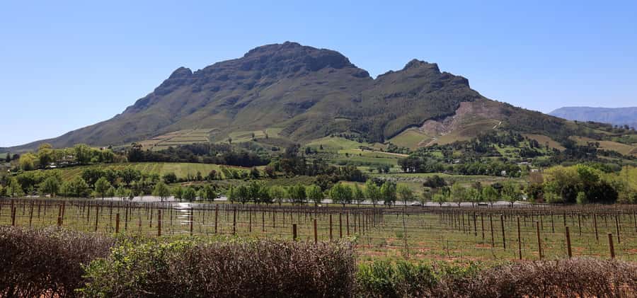 Table Mountain & Constantia Wine Estate Private Combo Tour - Groot Constantia, founded in 1685