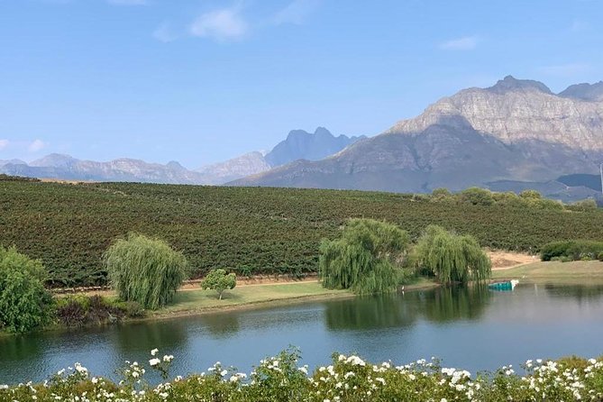 Table Mountain & Constantia Wine Tasting Full Day Tour. - Klein Constantia, cool air, and False Bay views