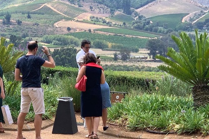 Table Mountain & Constantia Wine Tasting Full Day Tour. - Buitenverwachting closes the wine route